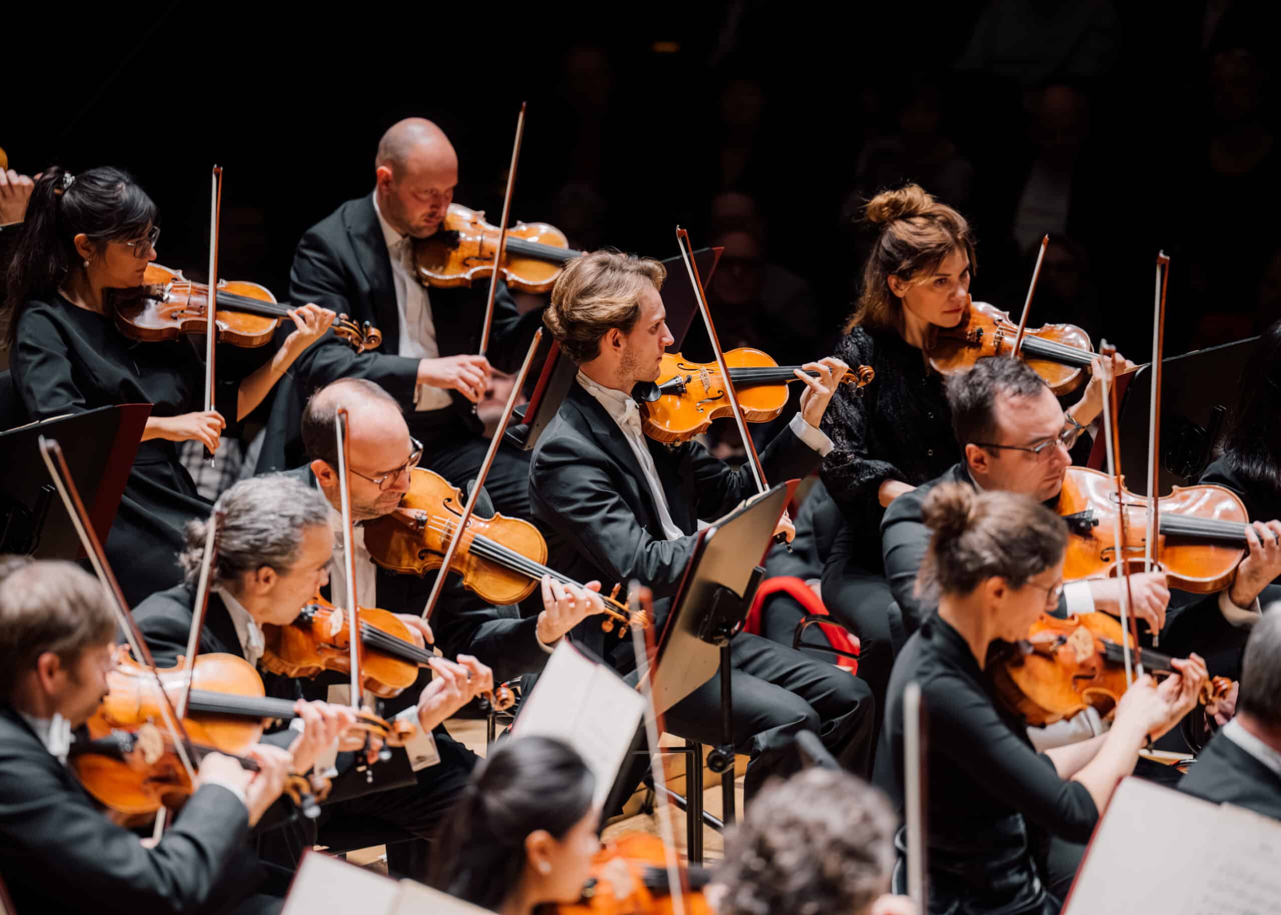 DSC_3002-Verbessert-RR