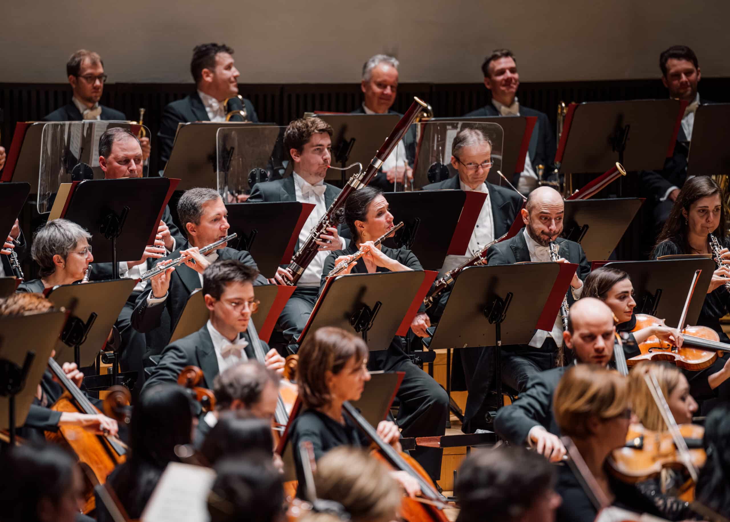 DSC_4000-Verbessert-RR